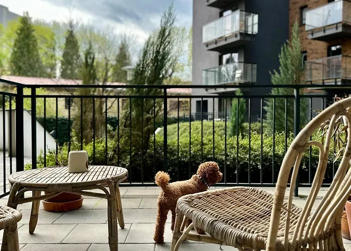 Pure N°1 * 브로츠와프